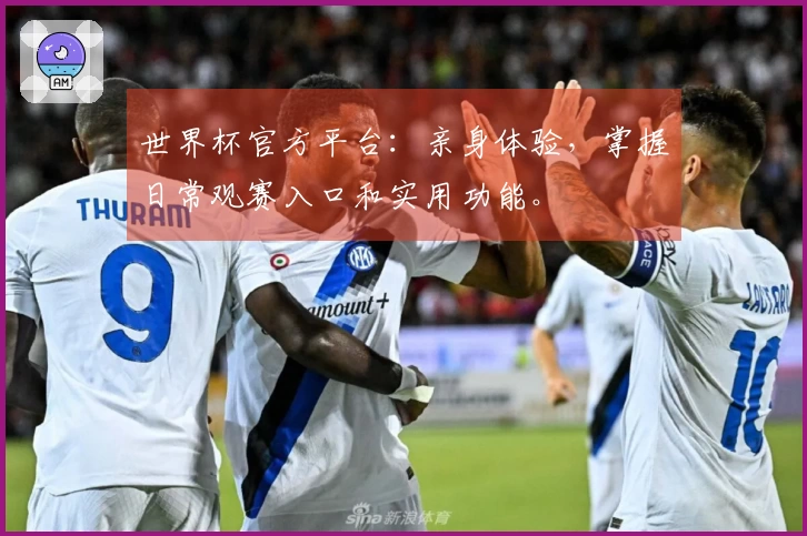 世界杯官方平台：亲身体验，掌握日常观赛入口和实用功能。