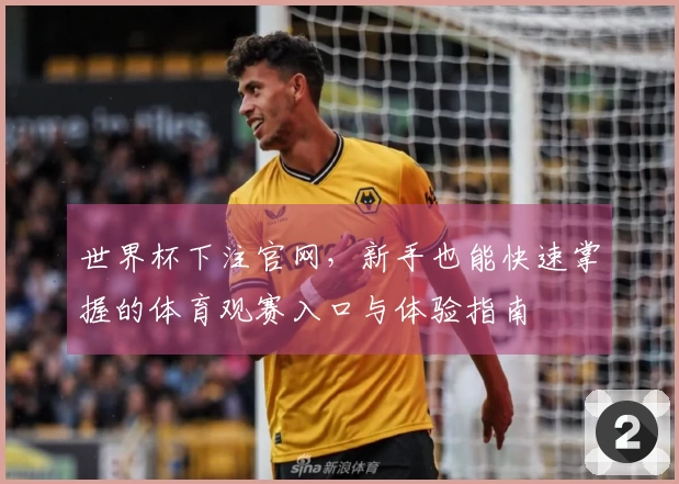 世界杯下注官网，新手也能快速掌握的体育观赛入口与体验指南